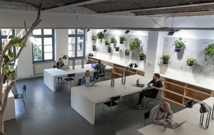 RaumStation_indoor_plants